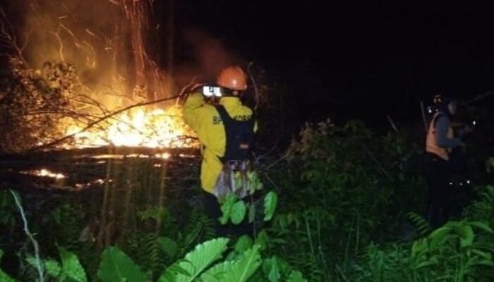 Karhutla Kembali Muncul di Arut Selatan