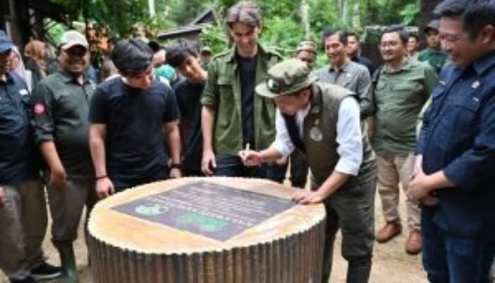 Menhut Resmikan Pusat Suaka Owa di Barut, Perkuat Upaya Konservasi Satwa Terancam Punah