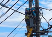 Tragis! Seorang Teknisi Vendor PLN Tewas Tersengat Listrik