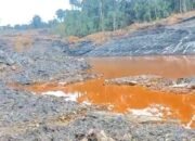 Limbah Tambang PT. BPM di Barsel Diduga Cemari Lingkungan