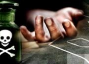 Pemuda di Kobar Ditemukan Tewas, Diduga Akibat Menenggak Racun Rumput