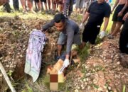 Pria di Katingan Tengah Tewas Ditangan ODGJ, Usai Lindungi Keluaga