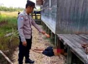 Tragis! Seorang Anak di Kapuas Diduga Bacok Ayah Kandung hingga Tewas