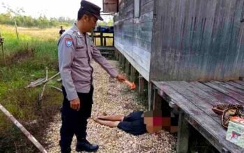Tragis! Seorang Anak di Kapuas Diduga Bacok Ayah Kandung hingga Tewas