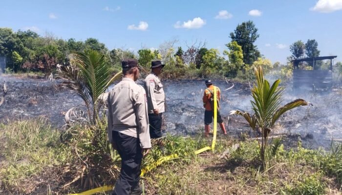 Karhutla Hanguskan 0,27 Hektare Lahan Milik Warga di Bukit Tunggal