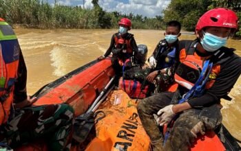 Tim SAR Temukan Remaja Tewas, Diterkam Buaya di Sungai Tanah Bumbu