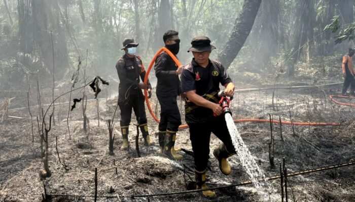 Brimob Kalteng Terus Bergerak Padamkan Karhutla di Wilayah Lamandau
