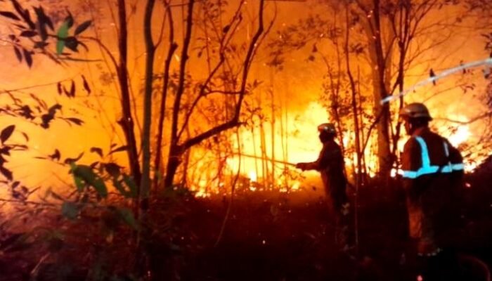 Karhutla di Kotim Ancam Pemukiman, 13 Lokasi Kebakaran dan 268 Hotspot Terdeteksi