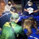 BKSDA Kalteng Berhasil Selamatkan Induk dan Anak Orangutan di Kotim