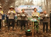 Wujudkan Green Policing, Polda Kalteng Tanam 500 Bibit Pohon Belangiran di Area Eks Karhutla