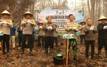 Wujudkan Green Policing, Polda Kalteng Tanam 500 Bibit Pohon Belangiran di Area Eks Karhutla